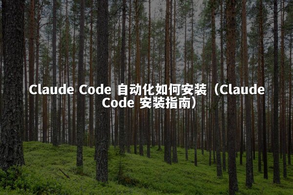 Claude Code 自动化如何安装（Claude Code 安装指南）