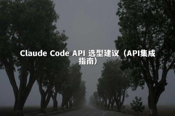 Claude Code API 选型建议（API集成指南）