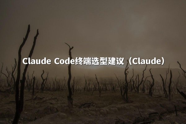 开元棋牌平台 Code终端选型建议（开元棋牌平台）