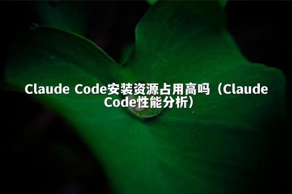 Claude Code安装资源占用高吗（Claude Code性能分析）