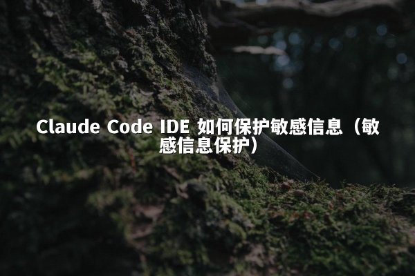 Claude Code IDE 如何保护敏感信息（敏感信息保护）