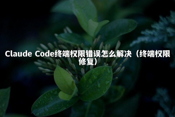 Claude Code终端权限错误怎么解决（终端权限修复）