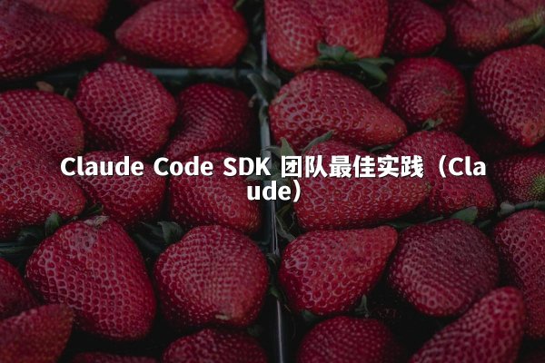 Claude Code SDK 团队最佳实践（Claude）