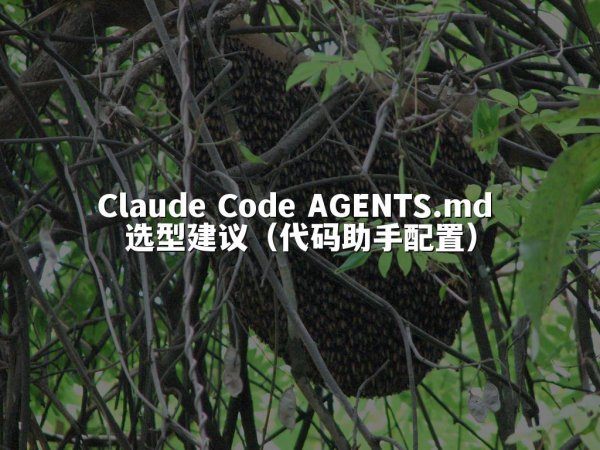Claude Code AGENTS.md 选型建议（代码助手配置）