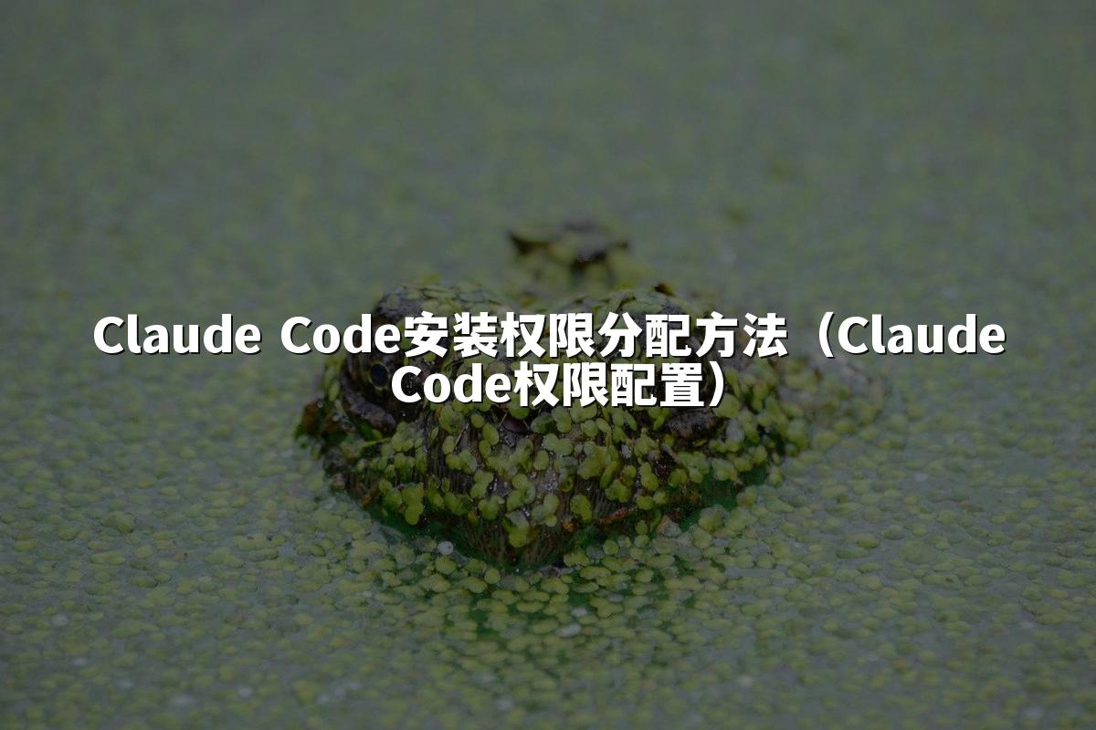 Claude Code安装权限分配方法（Claude Code权限配置）