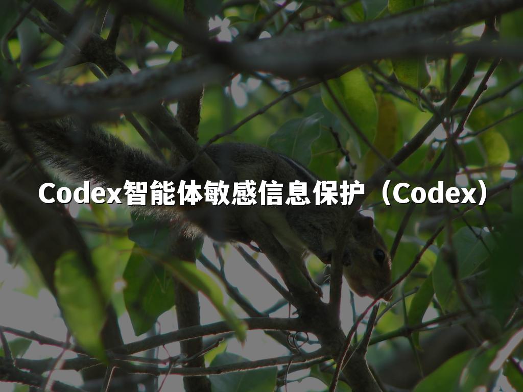 Codex智能体敏感信息保护(Codex)