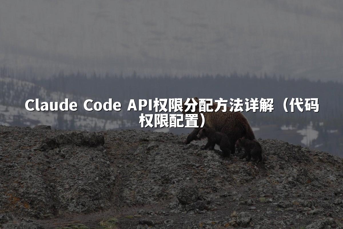 Claude Code API权限分配方法详解（代码权限配置）