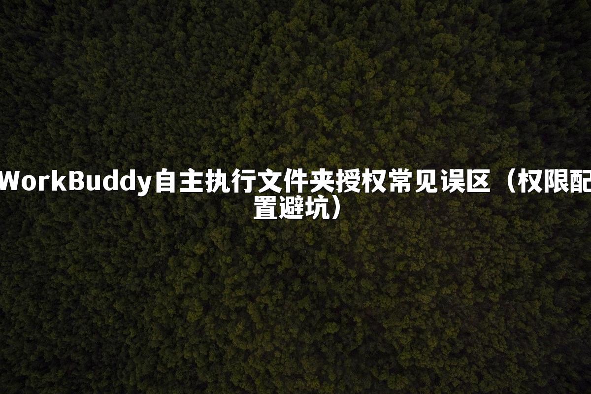 WorkBuddy自主执行文件夹授权常见误区(权限配置避坑)