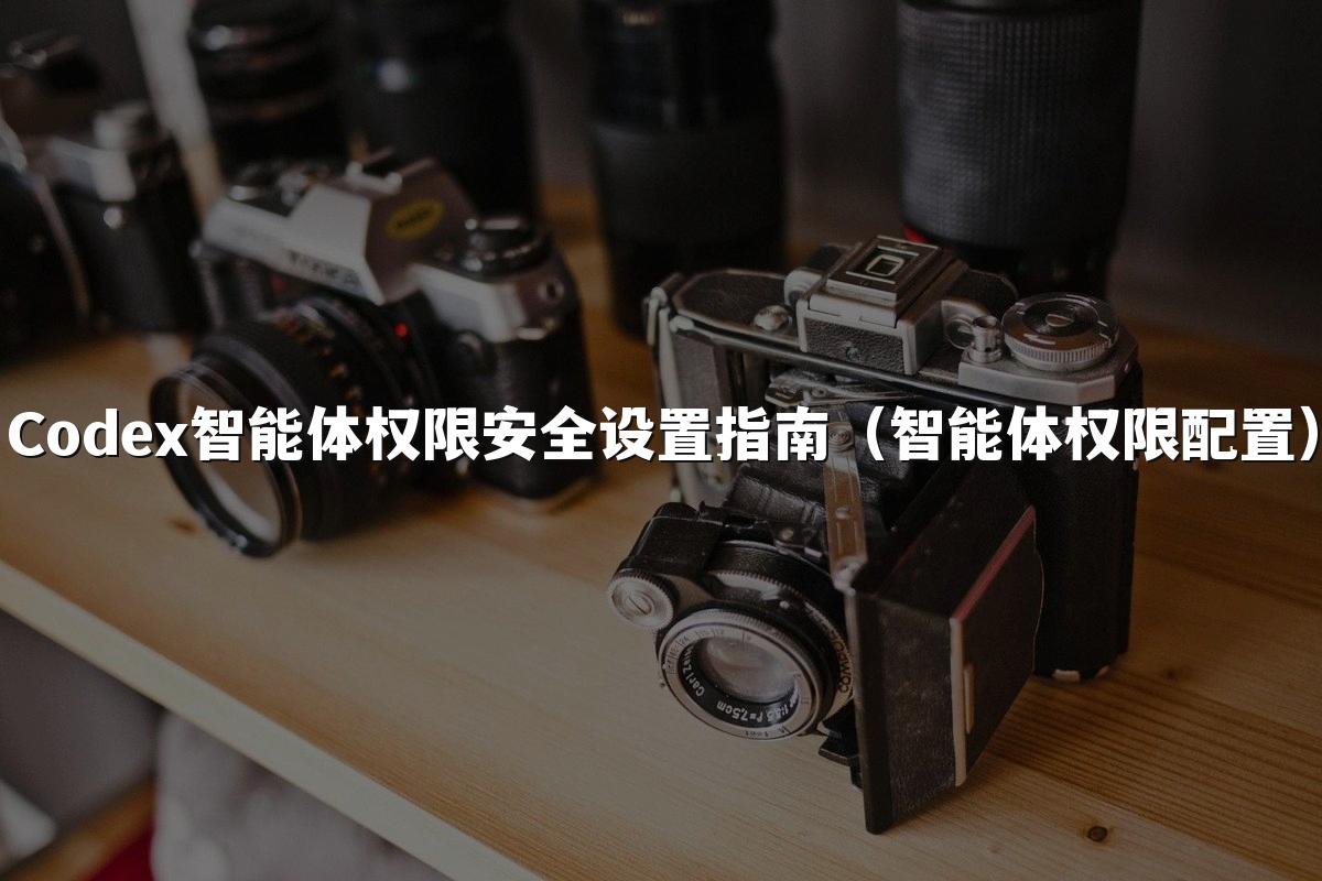 Codex智能体权限安全设置指南(智能体权限配置)