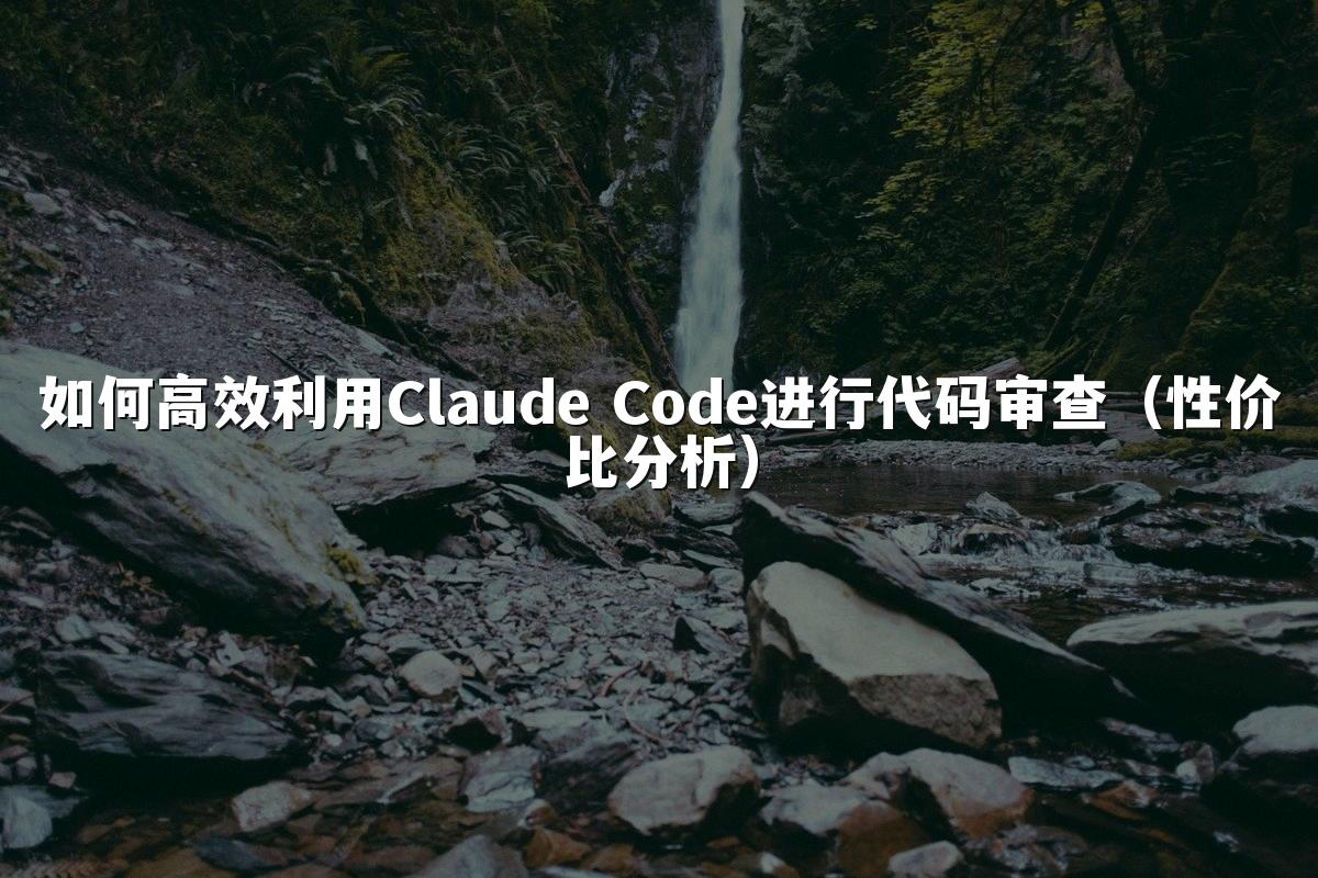 如何高效利用Claude Code进行代码审查（性价比分析）