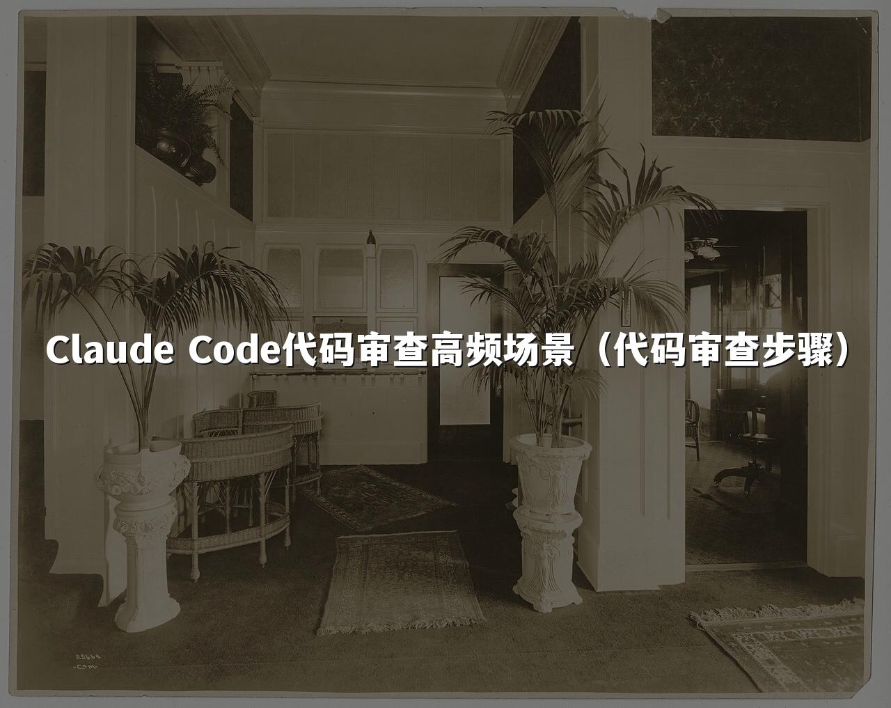 Claude Code代码审查高频场景(代码审查步骤)