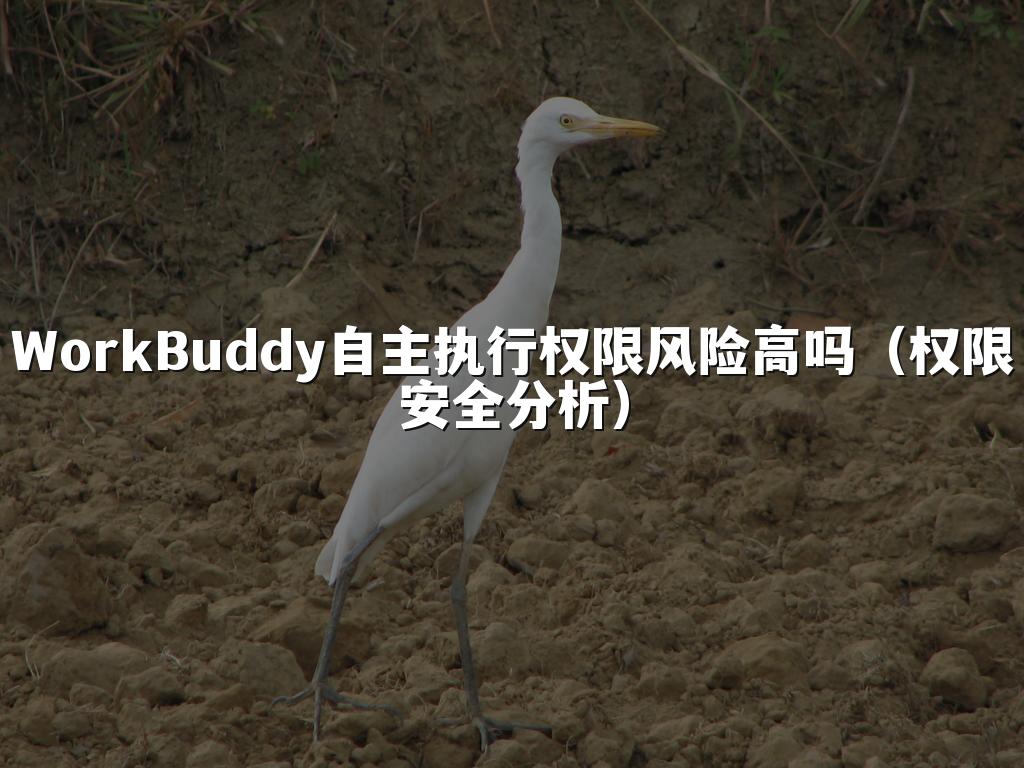 WorkBuddy自主执行权限风险高吗（权限安全分析）