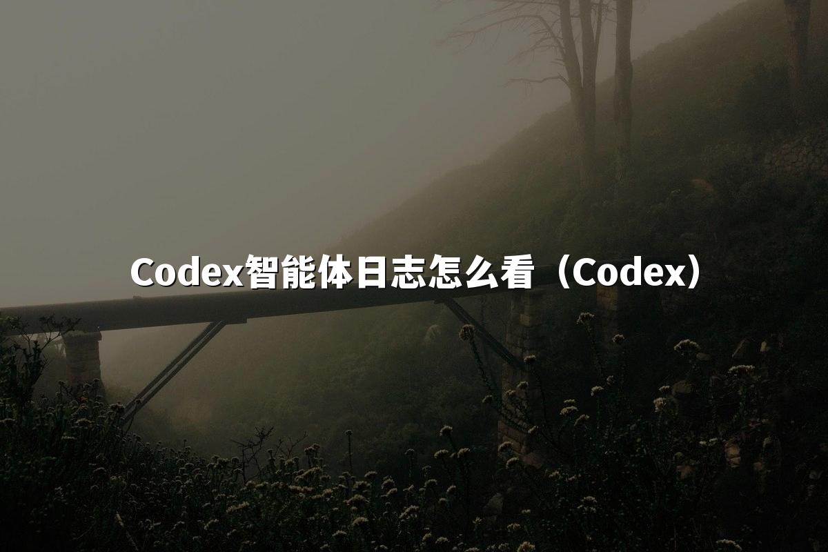 Codex智能体日志怎么看(Codex)