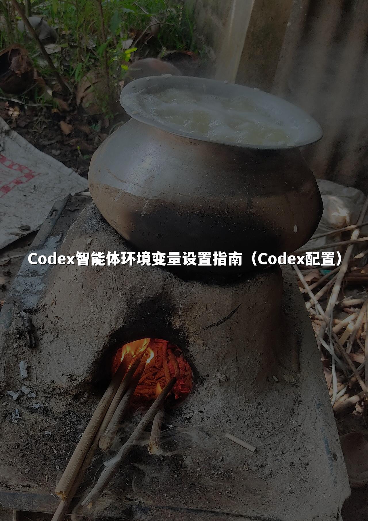 Codex智能体环境变量设置指南(Codex配置)