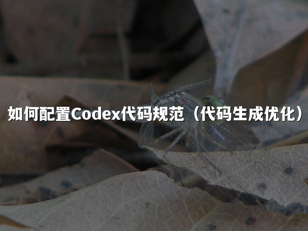如何配置Codex代码规范（代码生成优化）