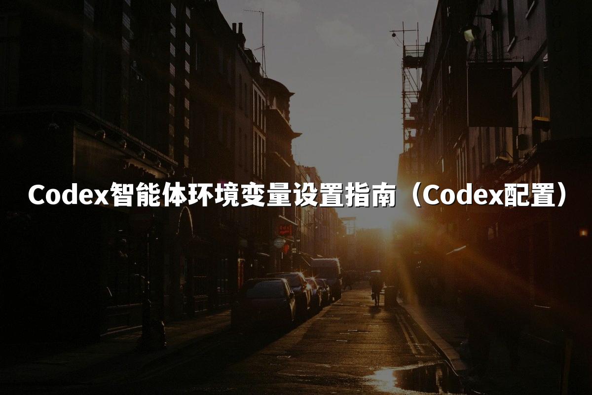 Codex智能体环境变量设置指南(Codex配置)