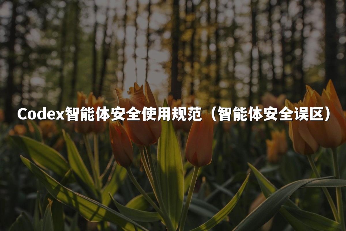 Codex智能体安全使用规范(智能体安全误区)