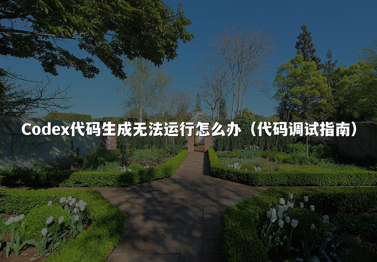 Codex代码生成无法运行怎么办（代码调试指南）