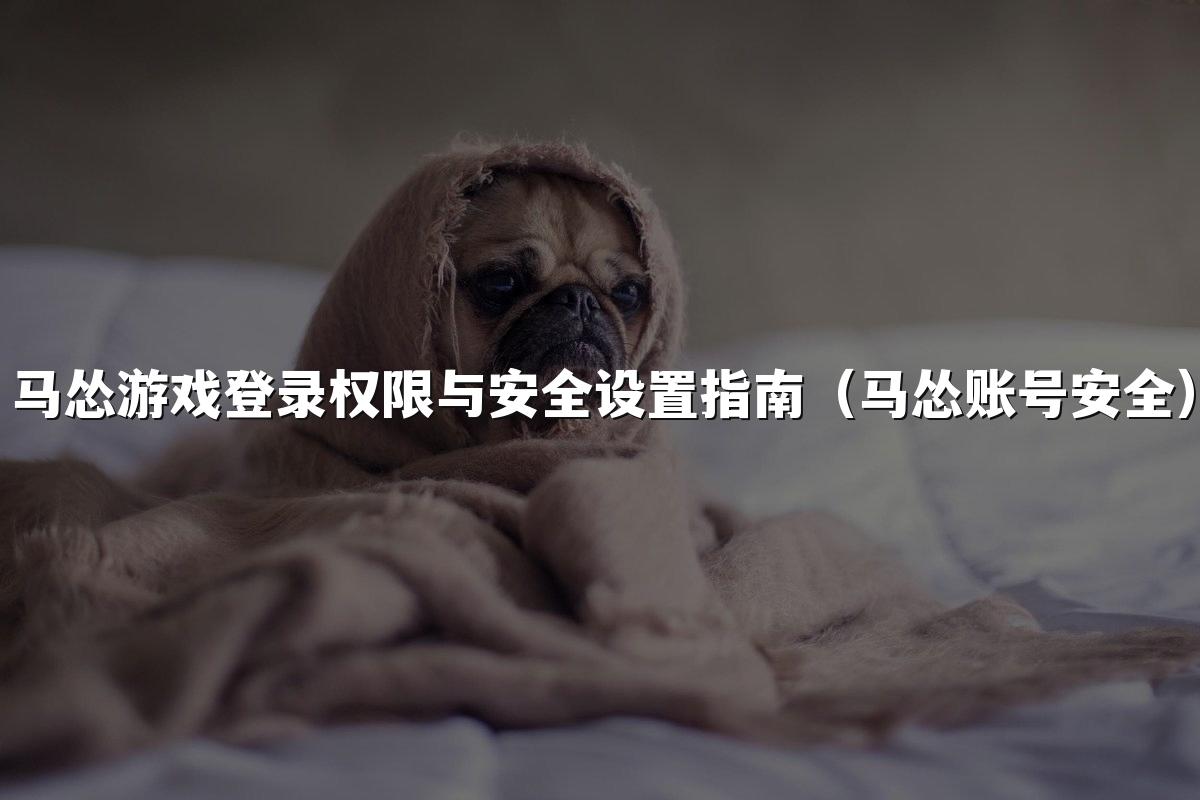马怂游戏登录权限与安全设置指南（马怂账号安全）