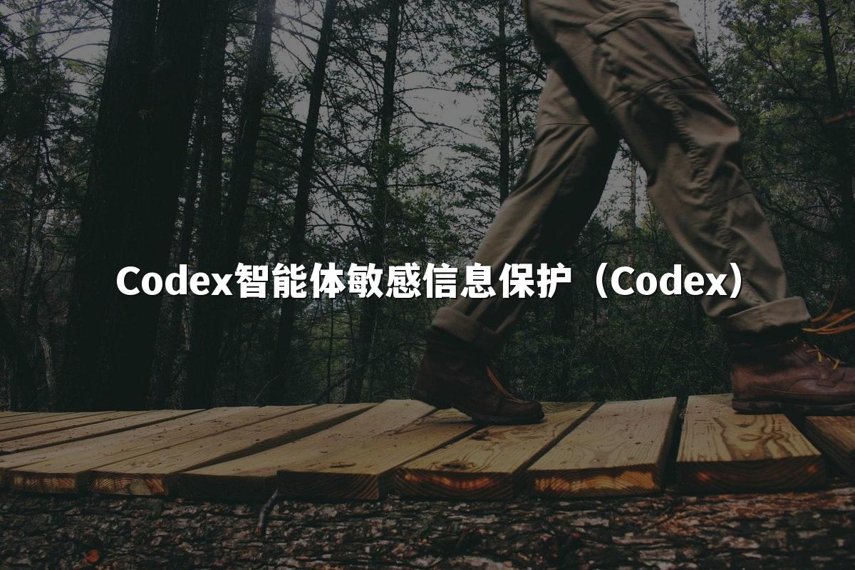 Codex智能体敏感信息保护(Codex)