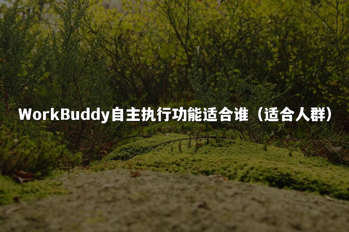 WorkBuddy自主执行功能适合谁(适合人群)
