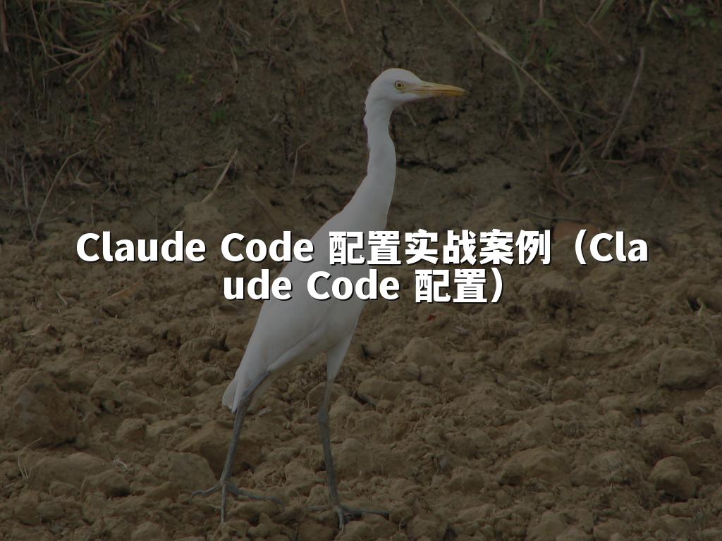 Claude Code 配置实战案例（Claude Code 配置）