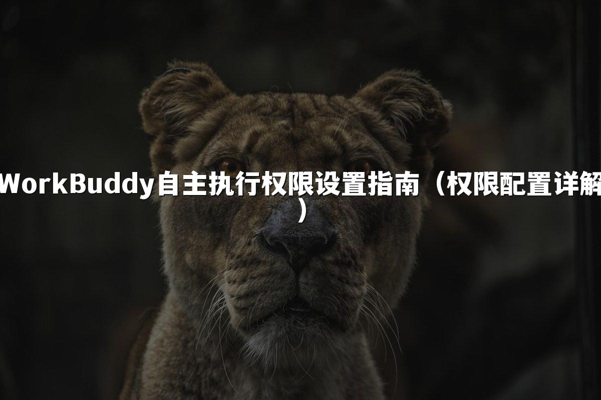 WorkBuddy自主执行权限设置指南(权限配置详解)