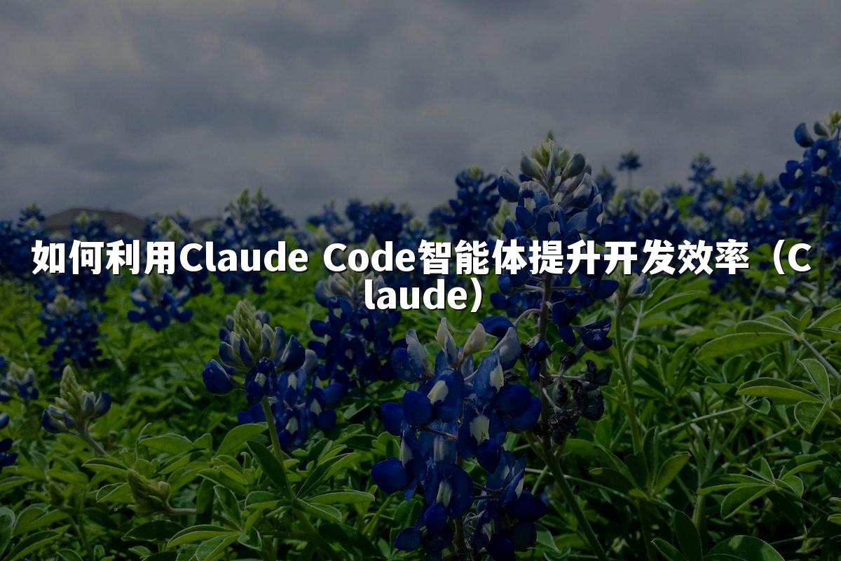 如何利用Claude Code智能体提升开发效率（Claude）