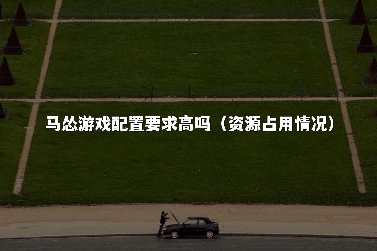 马怂游戏配置要求高吗（资源占用情况）