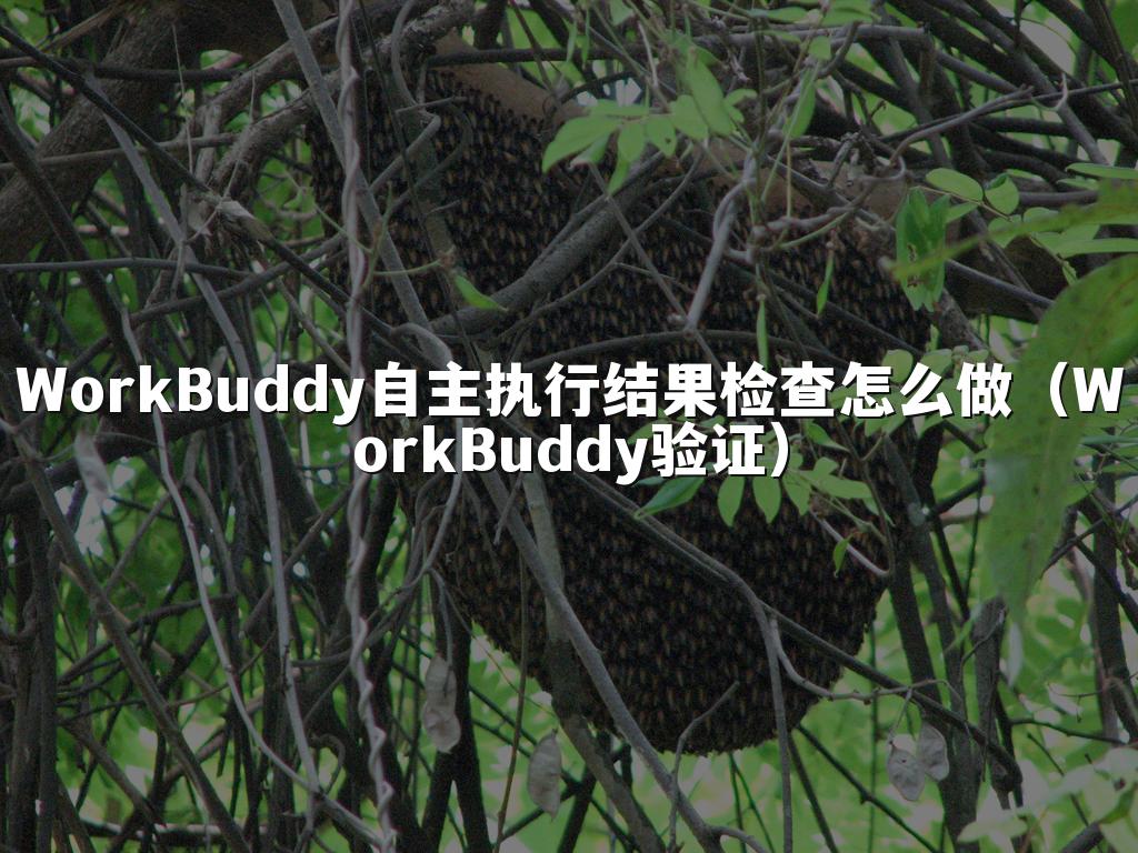 WorkBuddy自主执行结果检查怎么做(WorkBuddy验证)