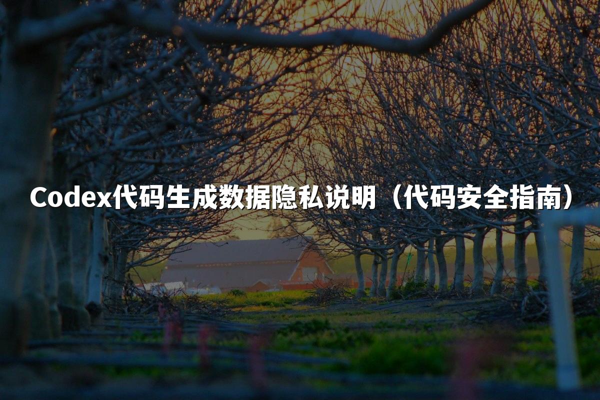 Codex代码生成数据隐私说明（代码安全指南）