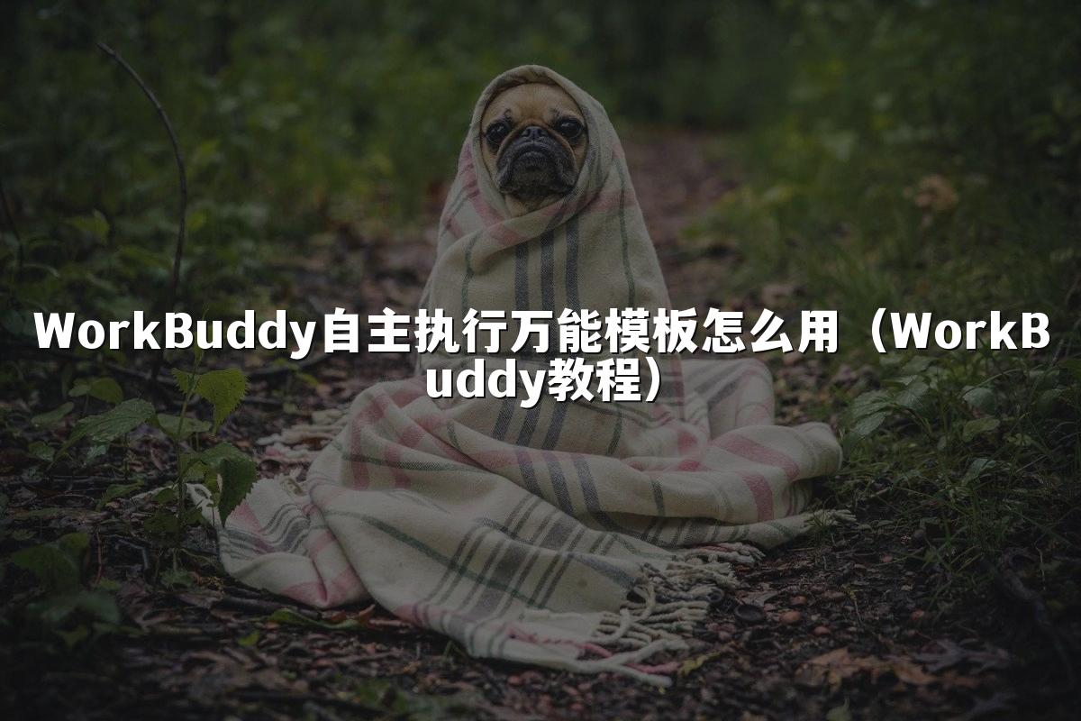 WorkBuddy自主执行万能模板怎么用(WorkBuddy教程)