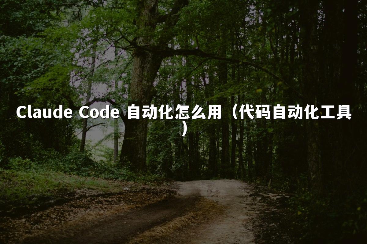 Claude Code 自动化怎么用(代码自动化工具)
