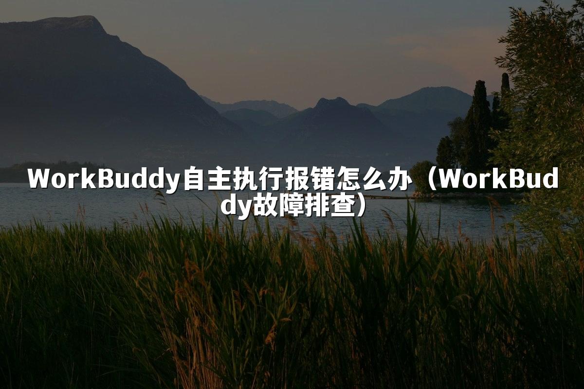 WorkBuddy自主执行报错怎么办(WorkBuddy故障排查)