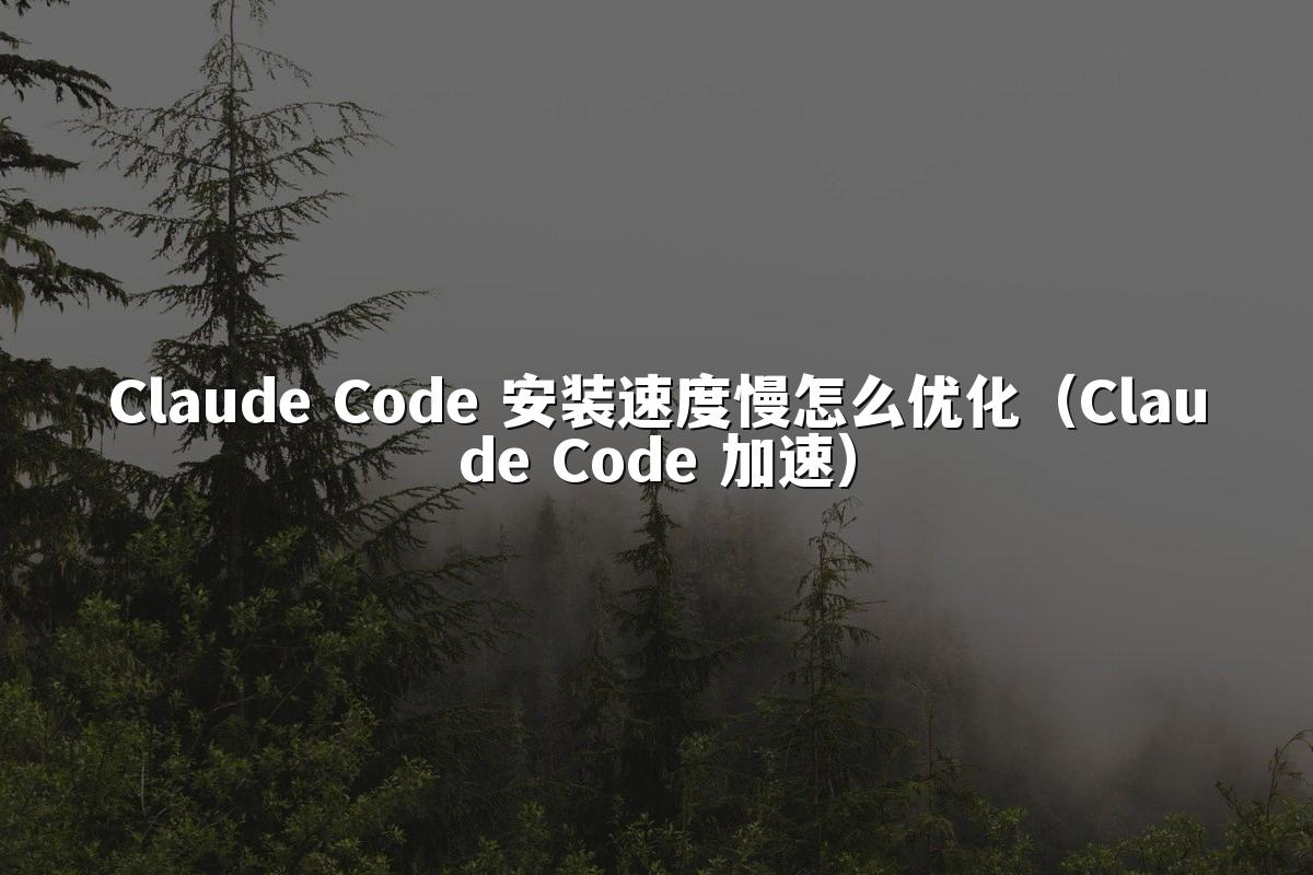 Claude Code 安装速度慢怎么优化（Claude Code 加速）