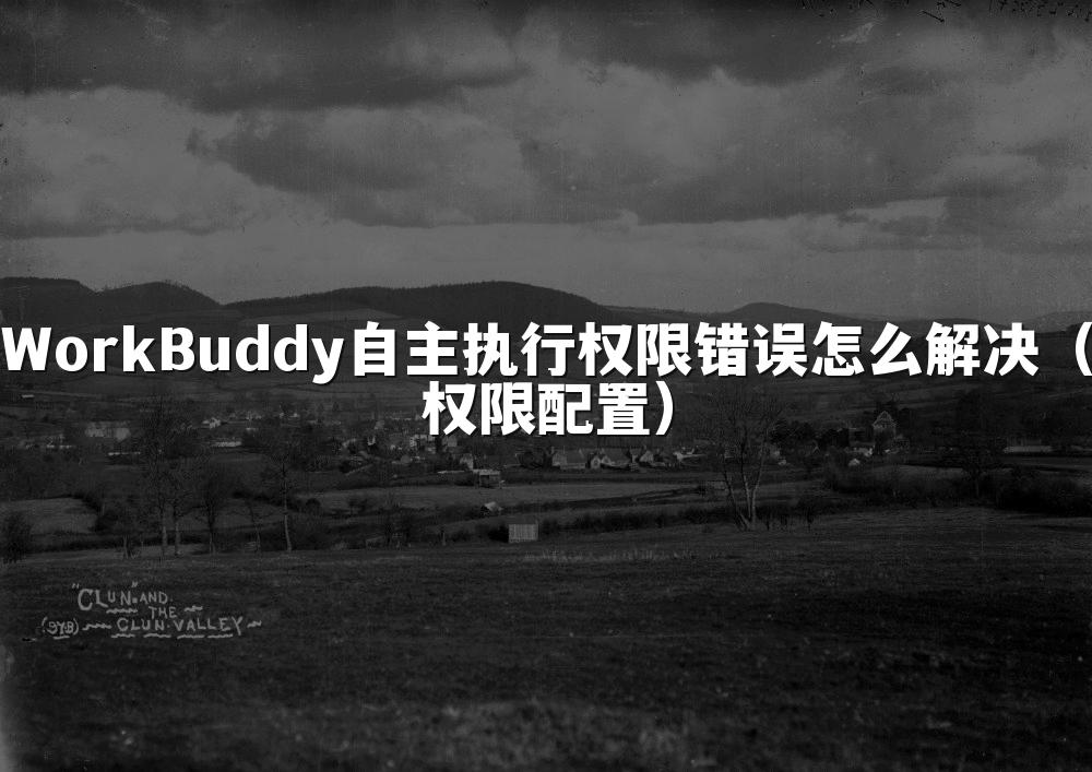 WorkBuddy自主执行权限错误怎么解决(权限配置)