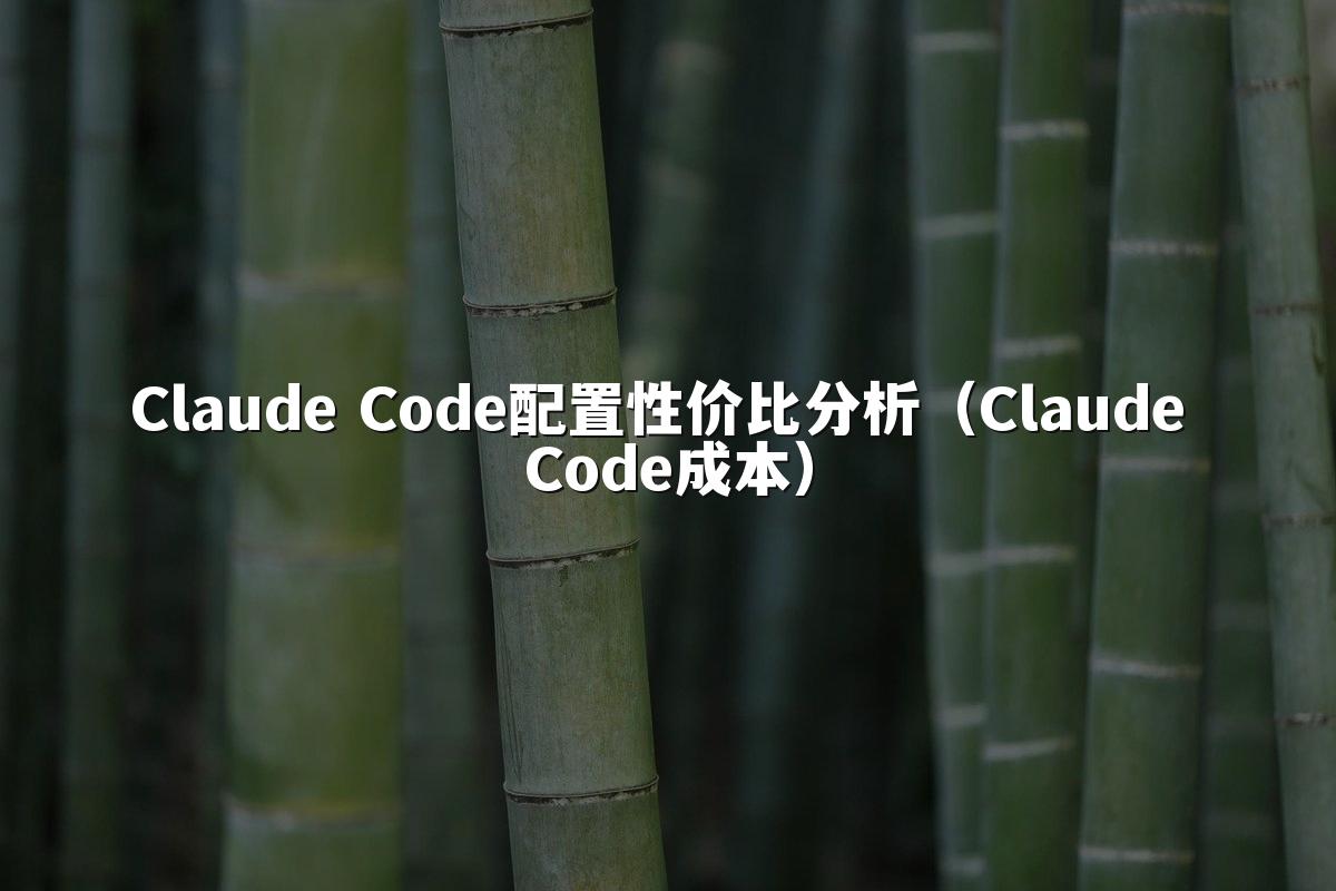 Claude Code配置性价比分析(Claude Code成本)