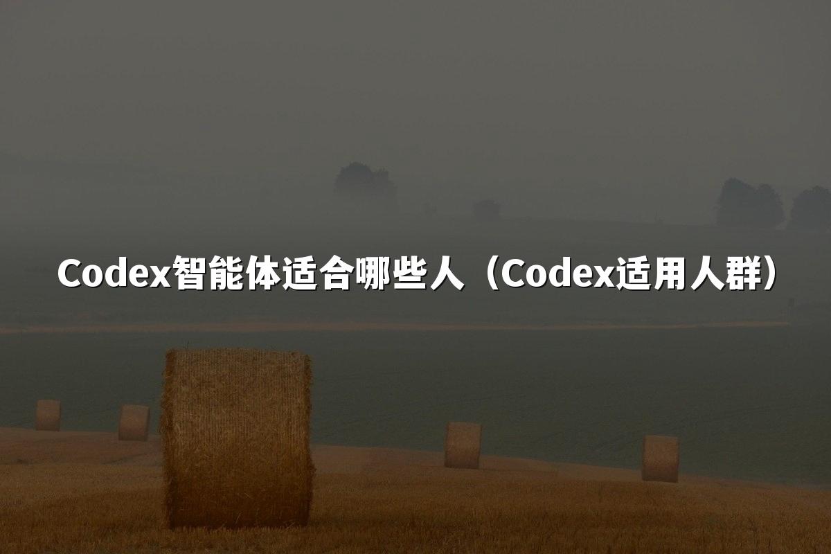Codex智能体适合哪些人（Codex适用人群）