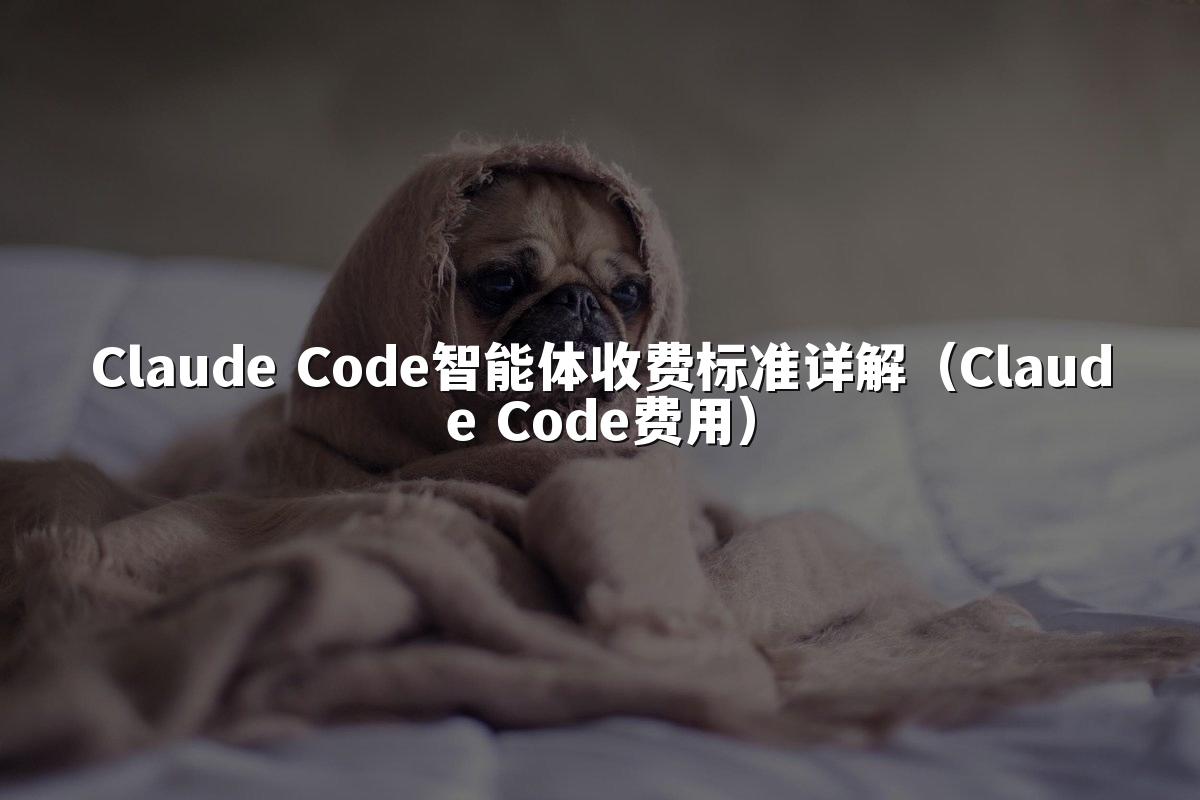 Claude Code智能体收费标准详解(Claude Code费用)