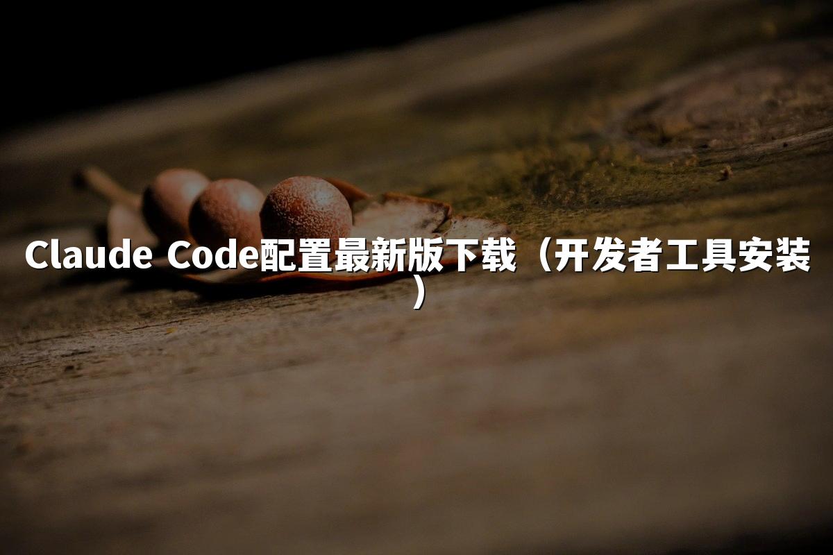 Claude Code配置最新版下载(开发者工具安装)