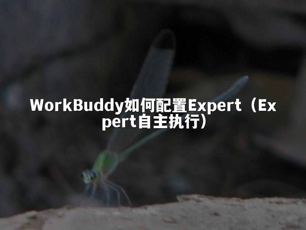 WorkBuddy如何配置Expert(Expert自主执行)
