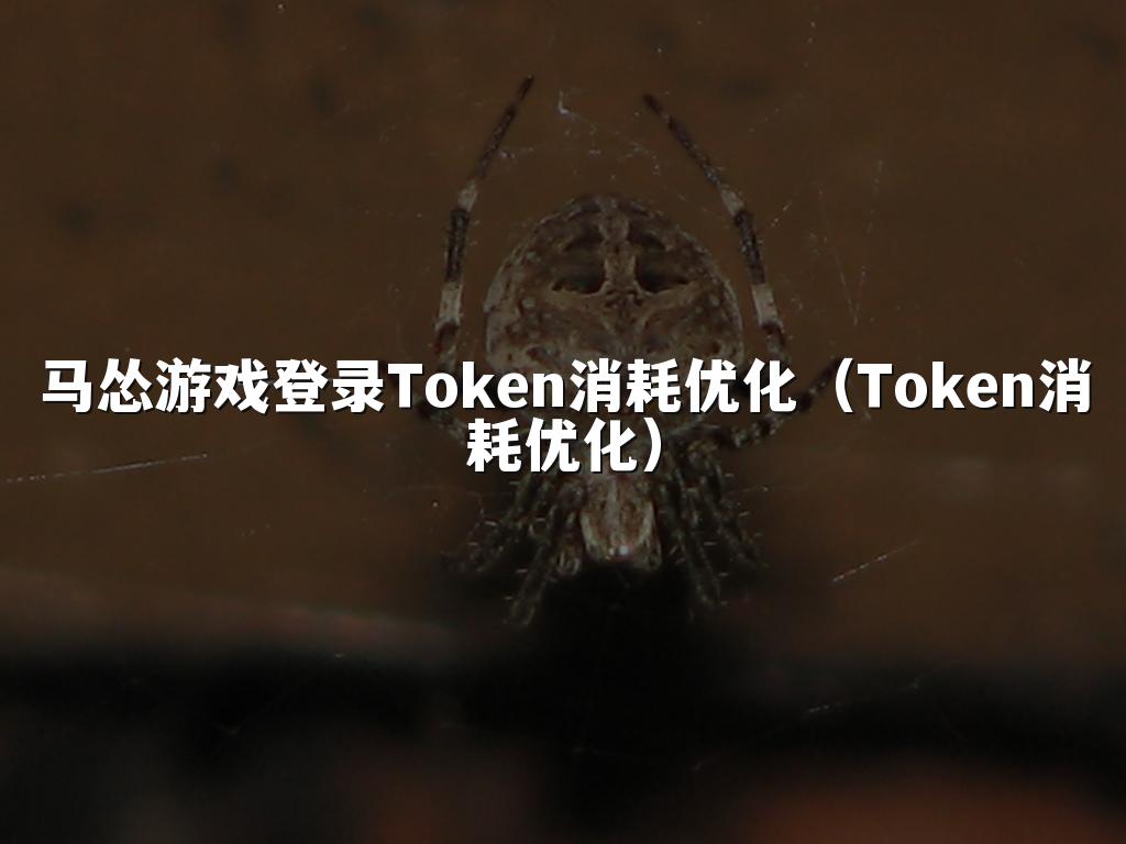 马怂游戏登录Token消耗优化（Token消耗优化）