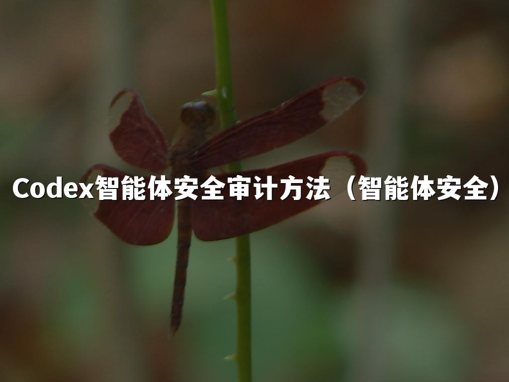 Codex智能体安全审计方法(智能体安全)