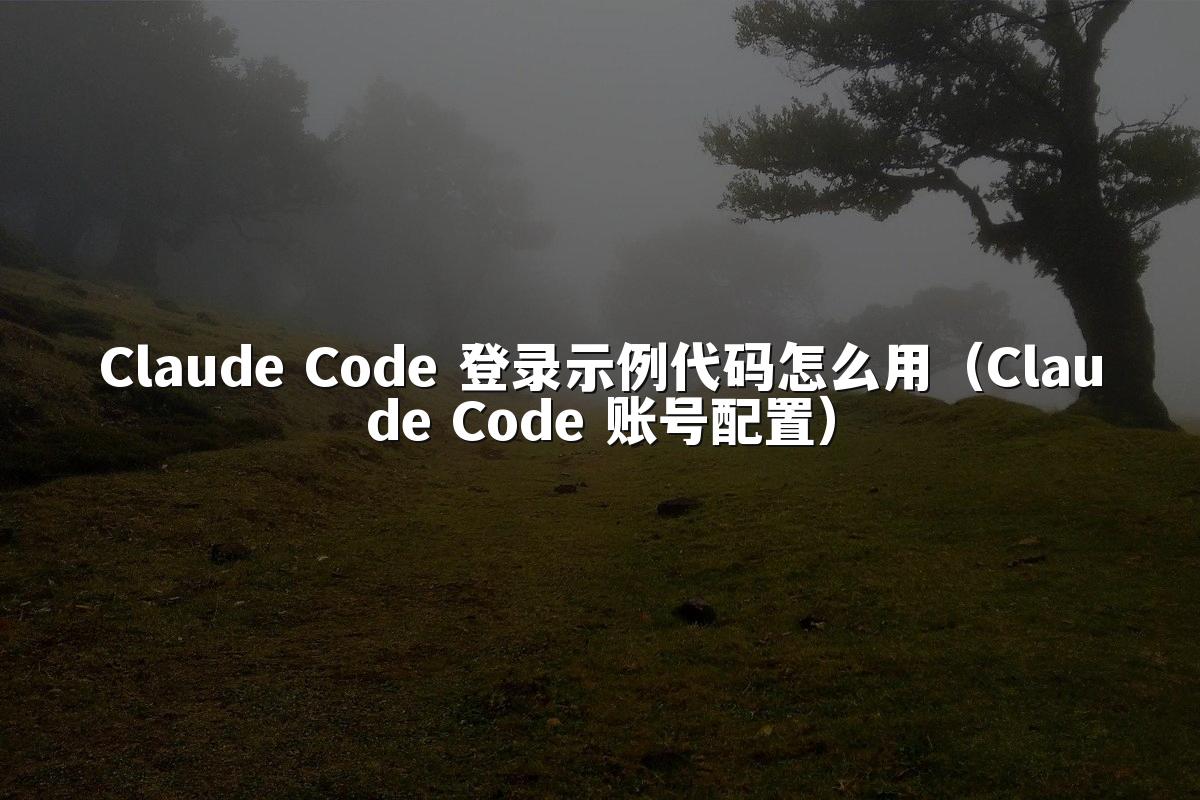 Claude Code 登录示例代码怎么用(Claude Code 账号配置)