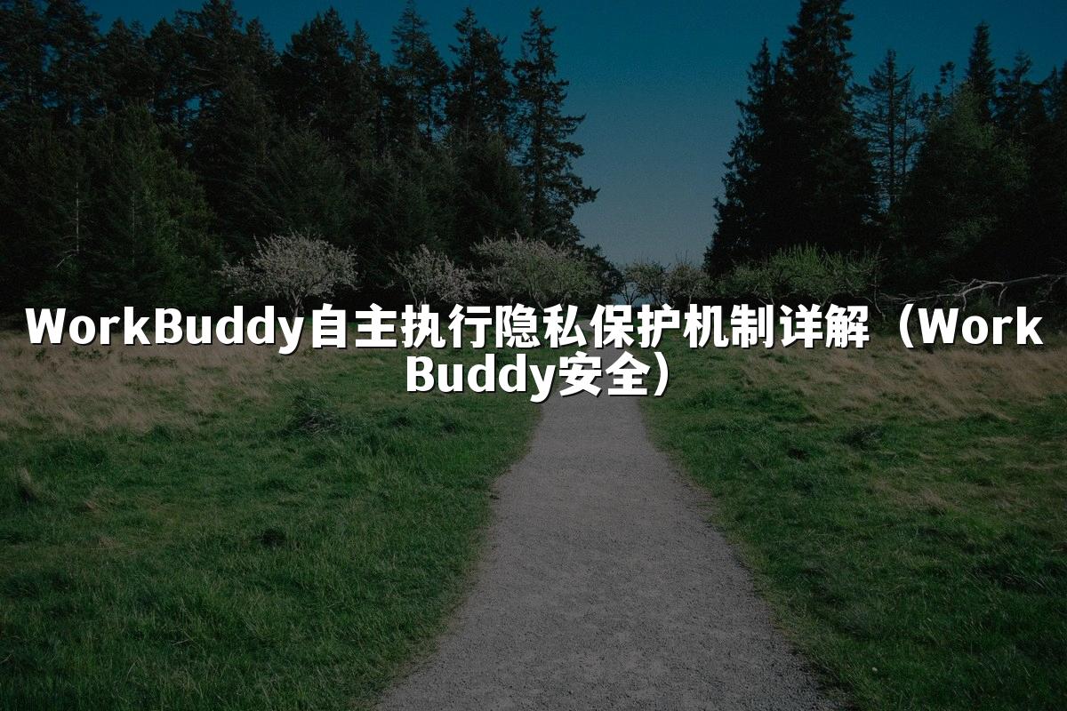 WorkBuddy自主执行隐私保护机制详解(WorkBuddy安全)
