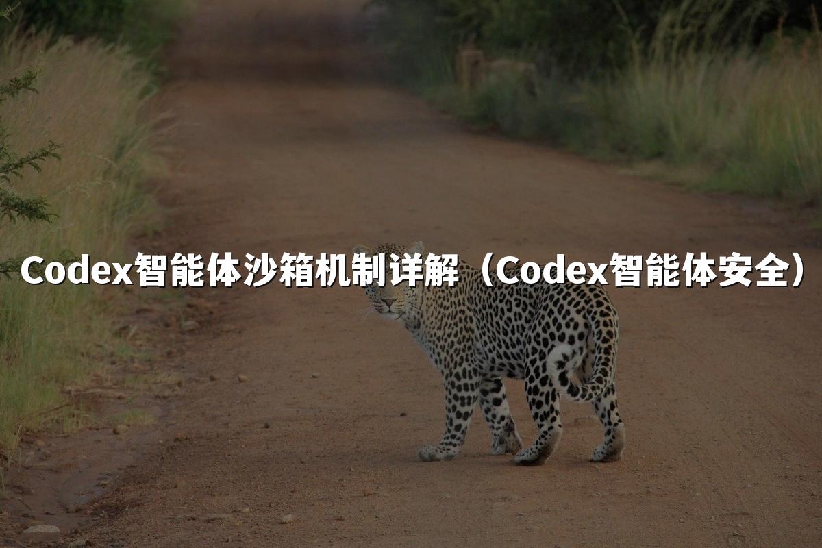 Codex智能体沙箱机制详解（Codex智能体安全）