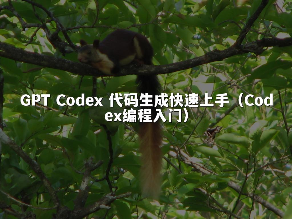 GPT Codex 代码生成快速上手（Codex编程入门）