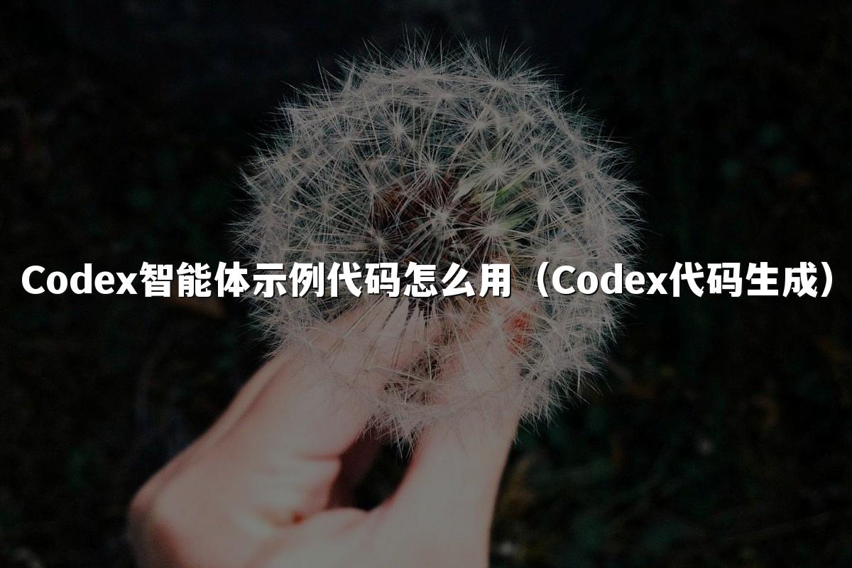 Codex智能体示例代码怎么用（Codex代码生成）