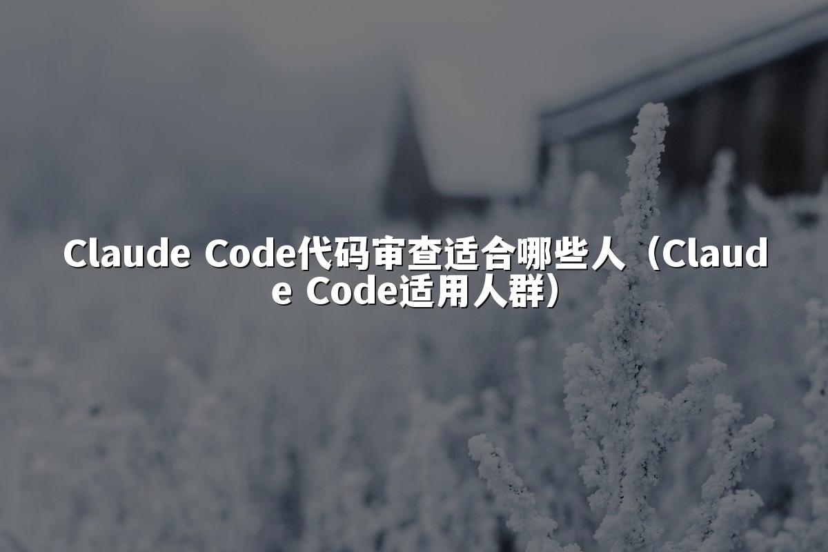 Claude Code代码审查适合哪些人(Claude Code适用人群)