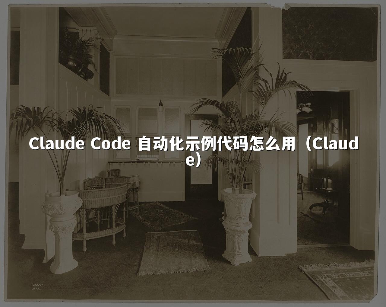 Claude Code 自动化示例代码怎么用(Claude)
